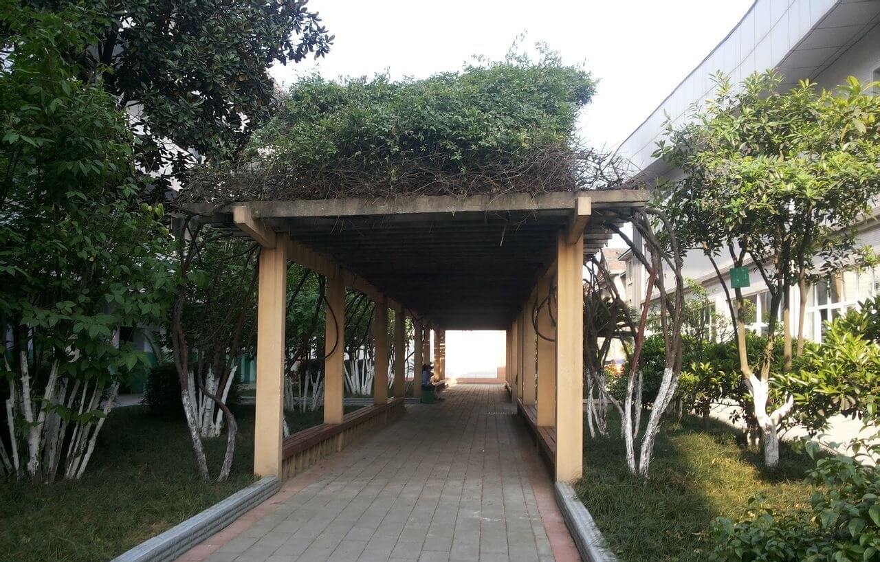 通錦中學校園風采