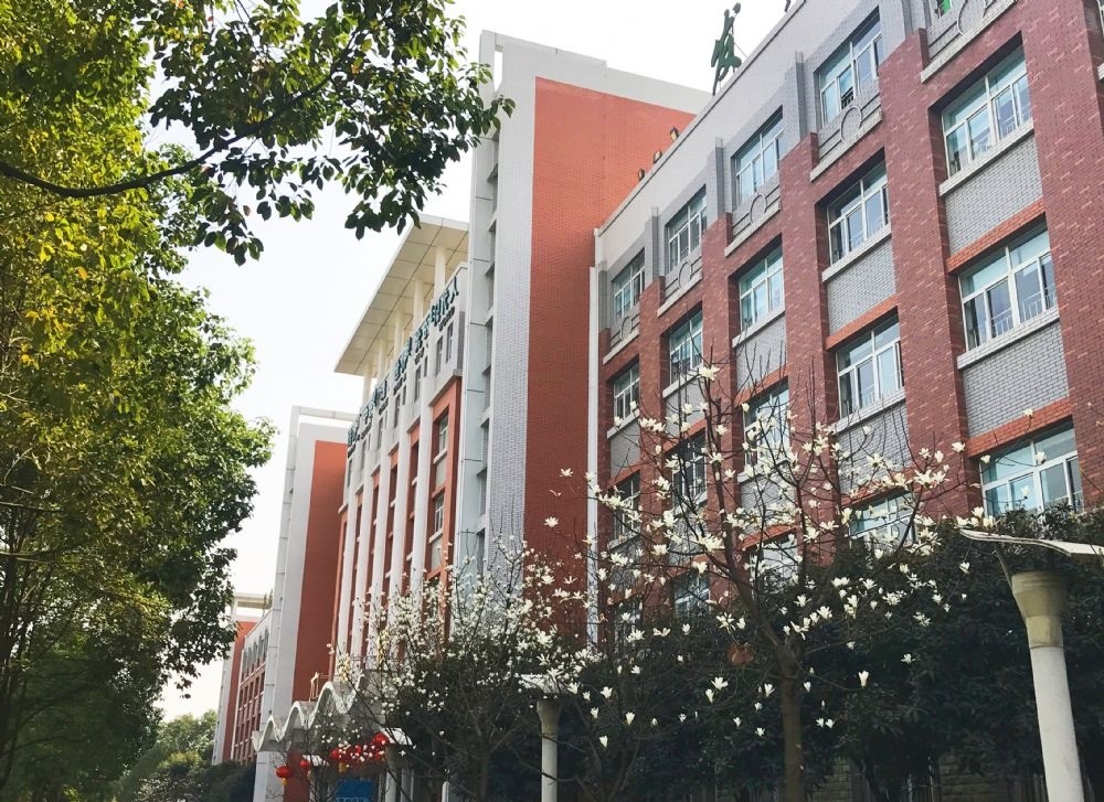 綿陽東辰學(xué)校2019年特長生計劃