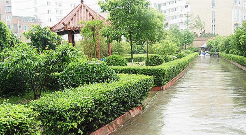 華興中學(xué)環(huán)境好不好？