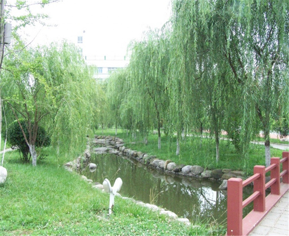 廣元外國語2020年學(xué)校招生分?jǐn)?shù)公布了嗎？