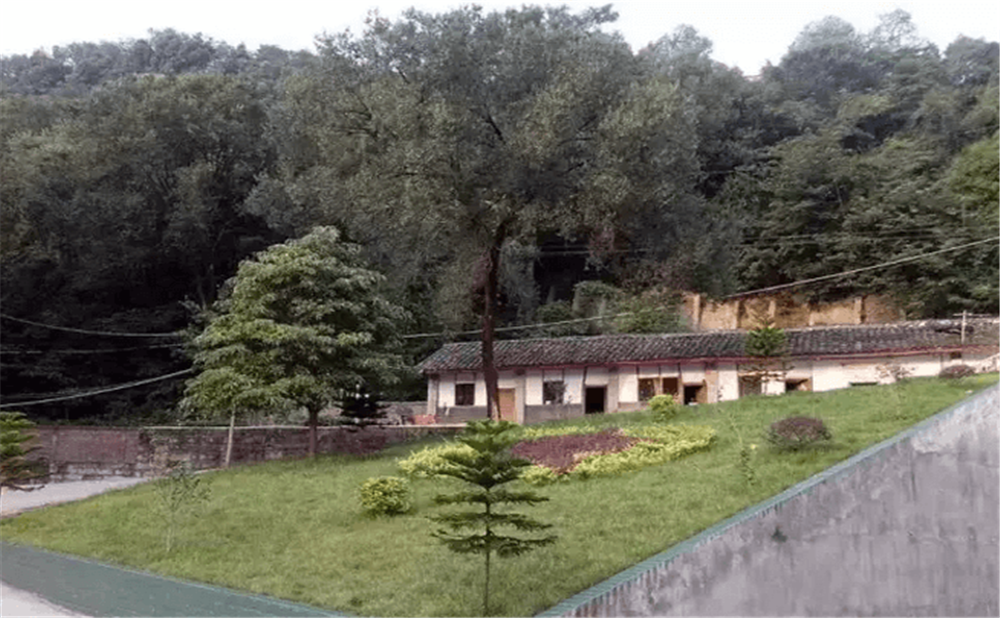閬中市二龍中學學校環(huán)境怎么樣？