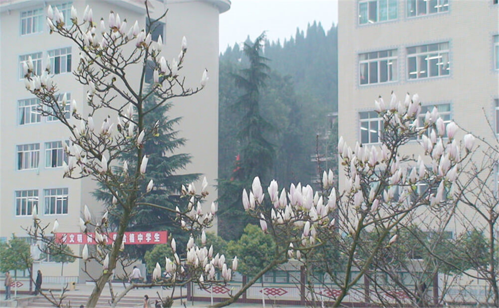 建興中學2020年中考錄取分數(shù)線多少分？
