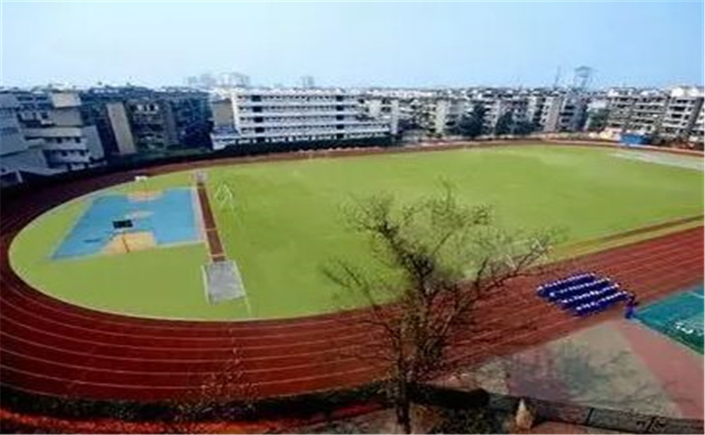 成都實外新都五龍山學校招生一年的學費是多少？