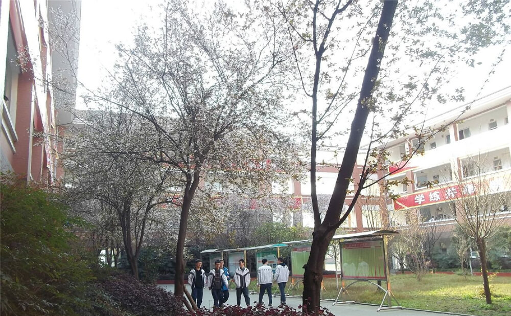 崇慶中學(xué)的去年錄取分?jǐn)?shù)線是多少分？