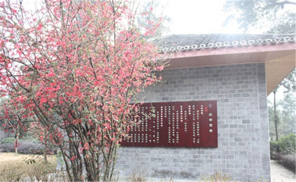 彭州中學(xué)2020年招生標(biāo)準(zhǔn)在哪兒看？