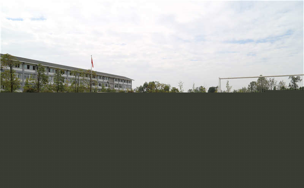 平樂中學(xué)的升學(xué)率是多少？