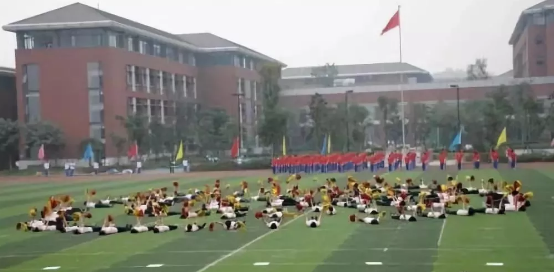 2020年成都七中高新校區(qū)的升學(xué)率有多少？