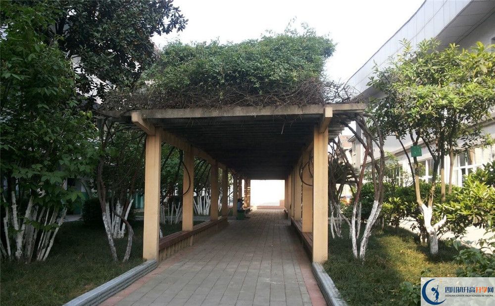 通錦中學2020年清華北大錄取學生有多少？