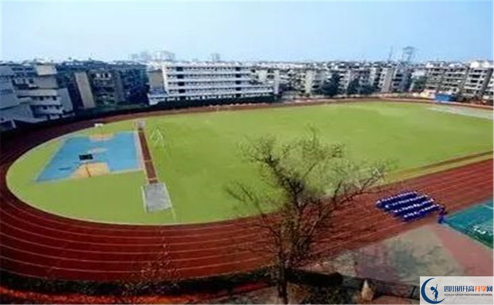 成都實外新都五龍山學(xué)校招生考試科目有哪些？