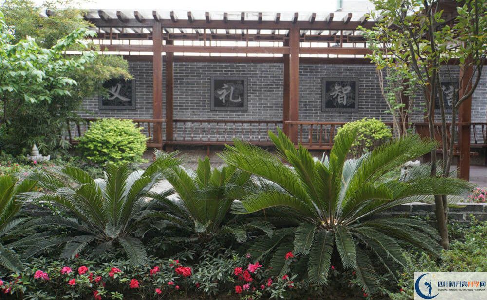 2020成都八中高考重點(diǎn)大學(xué)升學(xué)率是多少？