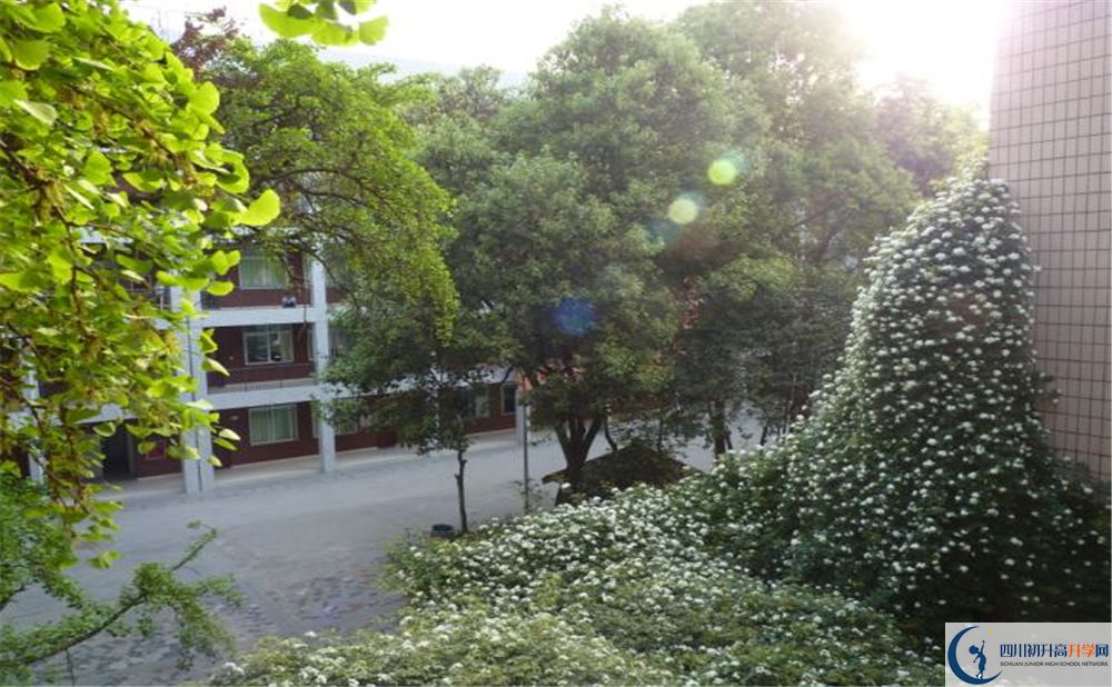 石室聯(lián)合中學(xué)蜀華分校高中分班考試難嗎？