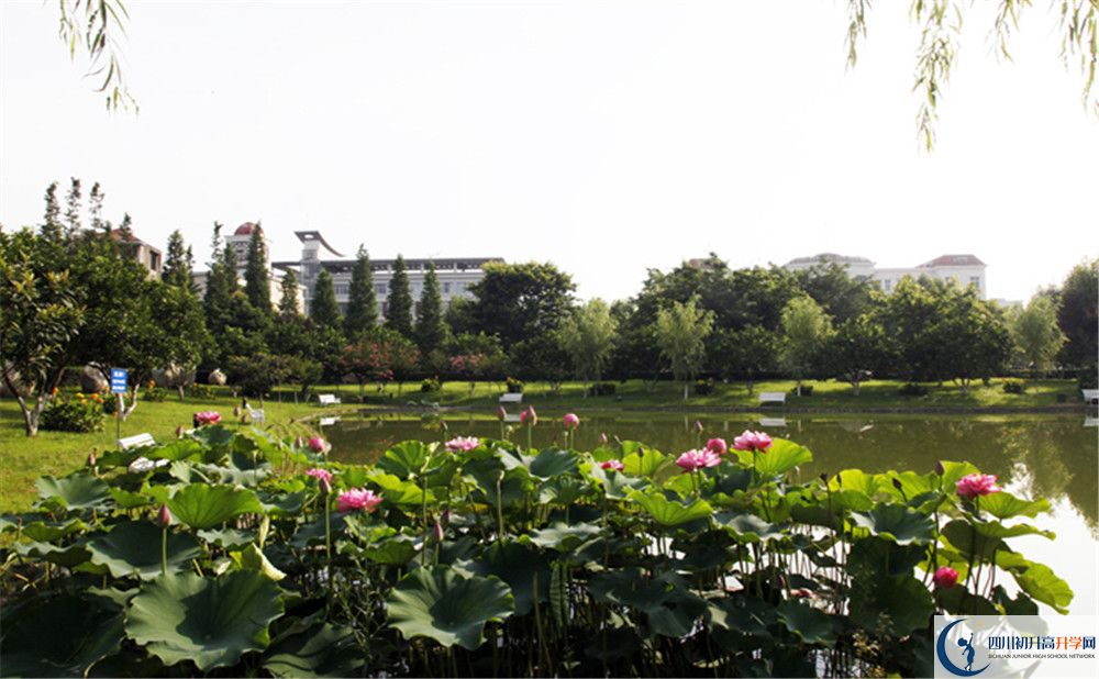 綿陽(yáng)南山中學(xué)實(shí)驗(yàn)學(xué)校2020年開(kāi)學(xué)時(shí)間安排是怎么樣的？