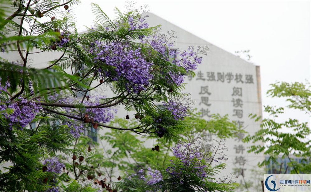2020年成都實驗外國語學(xué)校西區(qū)費用是多少？