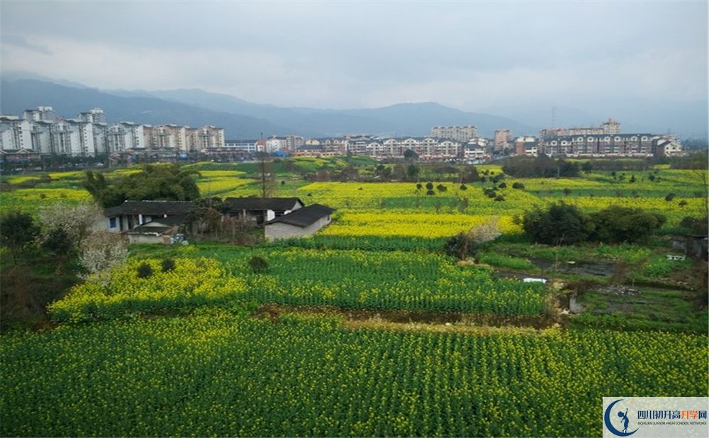 都江堰育才學(xué)校2020年錄取分?jǐn)?shù)線是多少分？
